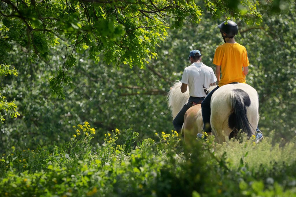 Horseback Riding