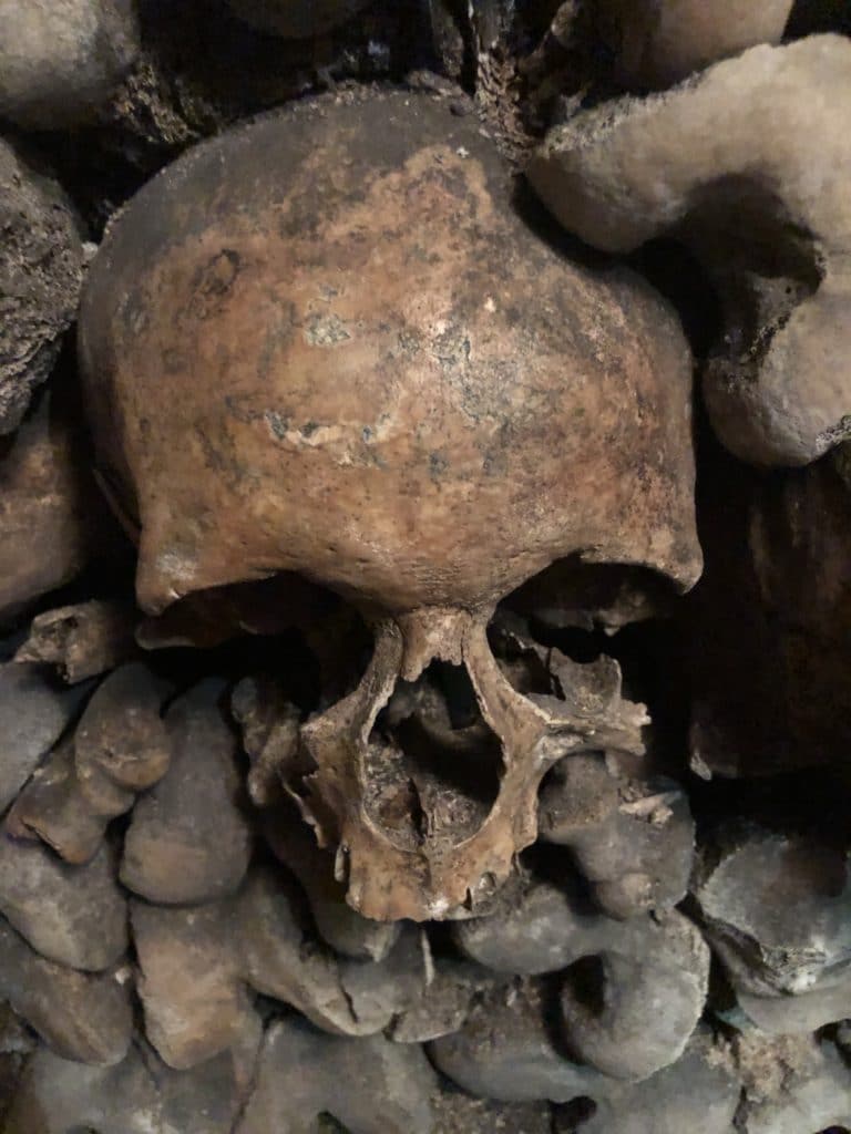 Paris Catacombs Skull