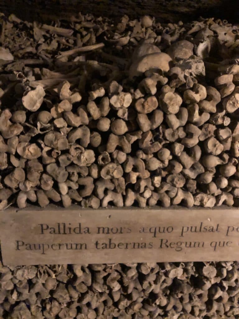 Paris Catacombs Bones