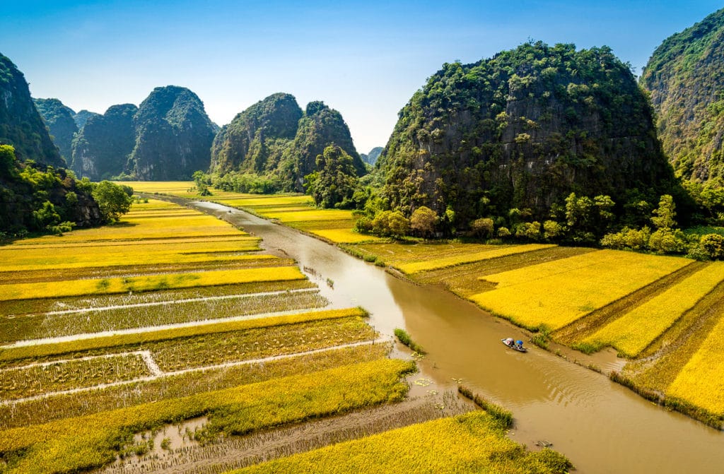 Rice Field in Tam Coc Vietnam